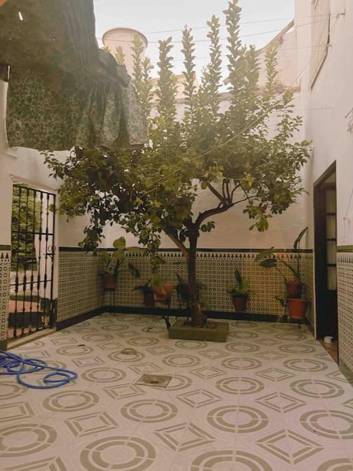 La Casa De Manolita Villa Baena Kültér fotó